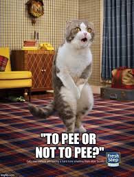to pee or not to pee